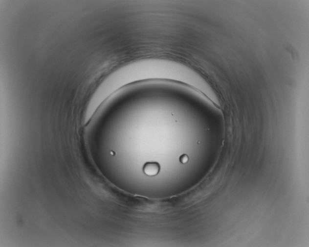 X0000113880072200910081755