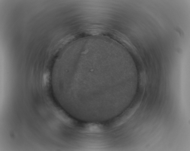 X0000113880073200910081755