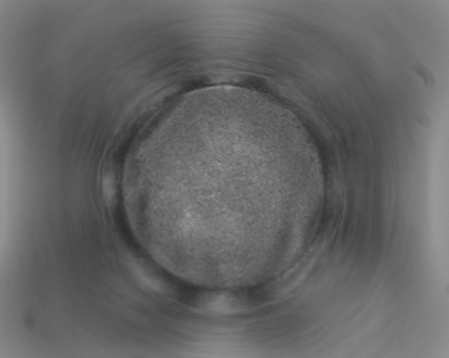 X0000113880074200910081755