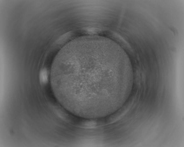 X0000113880075200910081755