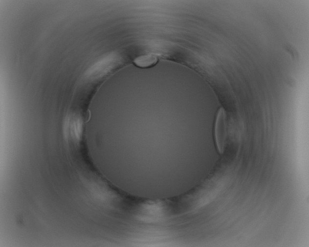 X0000113880076200910081755