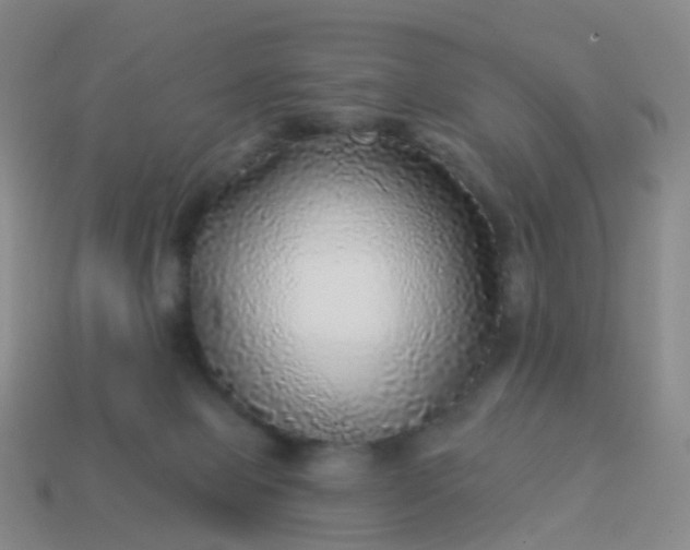 X0000113880077200910081756