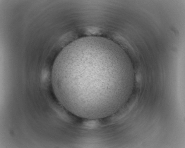 X0000113880079200910081756