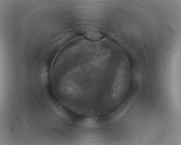 X0000113880080200910081756