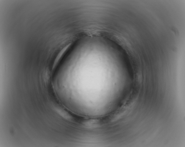 X0000113880081200910081756