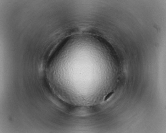 X0000113880082200910081756