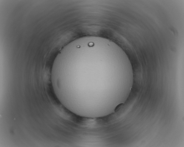 X0000113880083200910081756