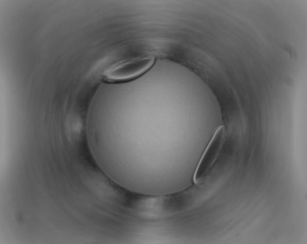 X0000113880084200910081756