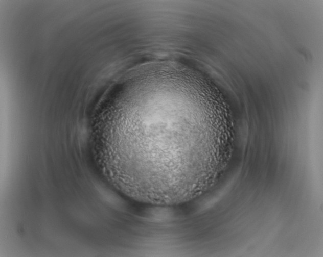 X0000113880085200910081756