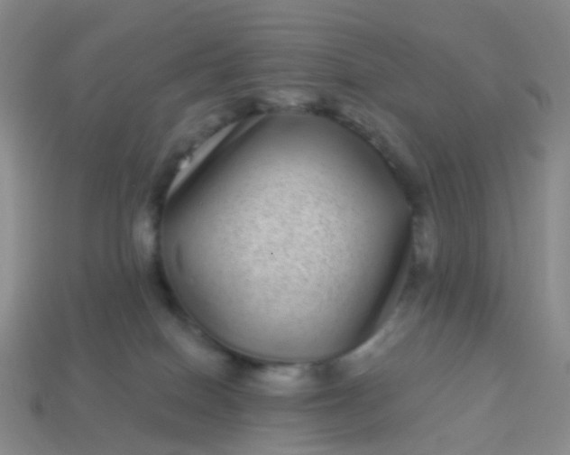 X0000113880086200910081756