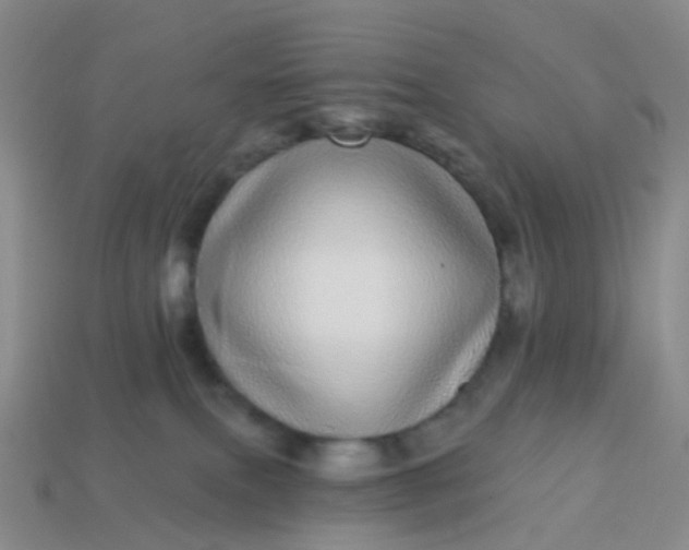 X0000113880087200910081756