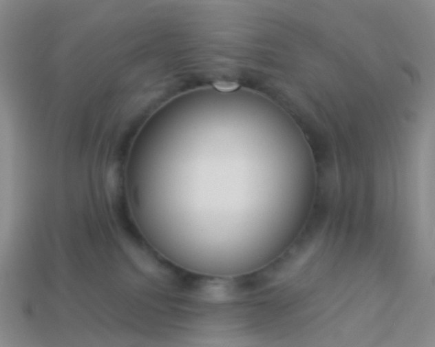 X0000113880088200910081756