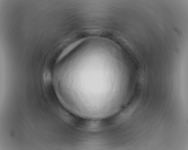 X0000113880089200910081756