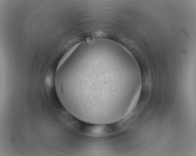 X0000113880090200910081756