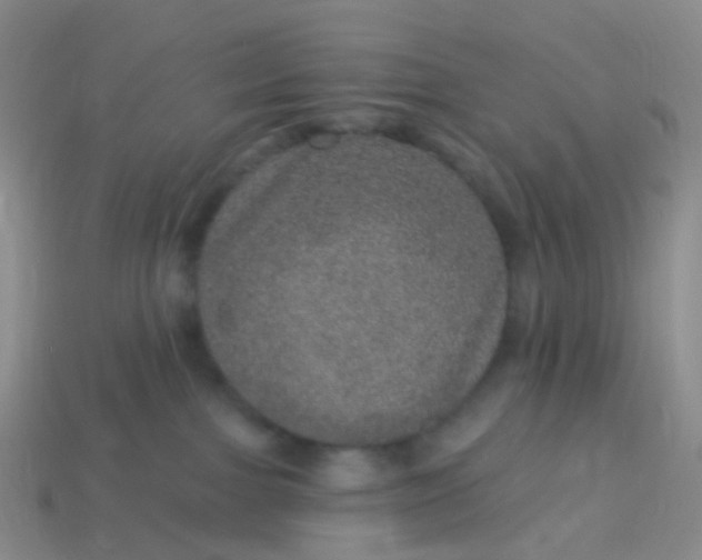 X0000113880091200910081756