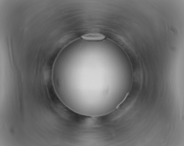 X0000113880092200910081756