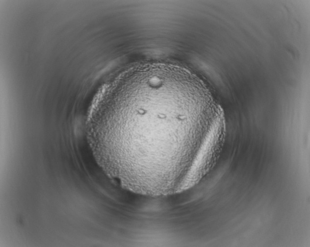 X0000113880093200910081756