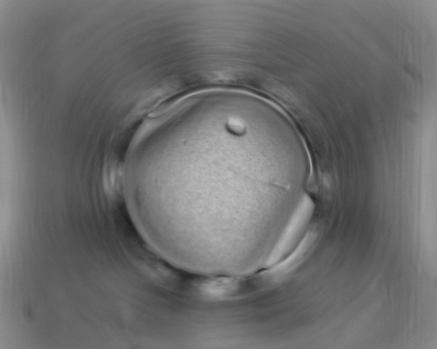 X0000113880094200910081756