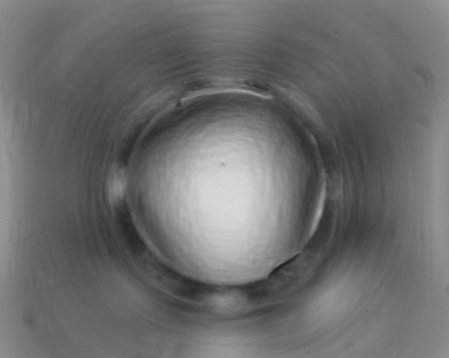 X0000113880095200910081756