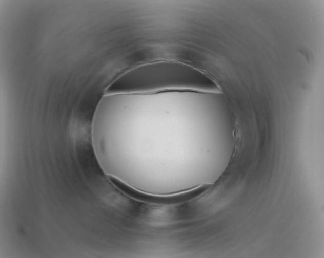 X0000113880096200910081756