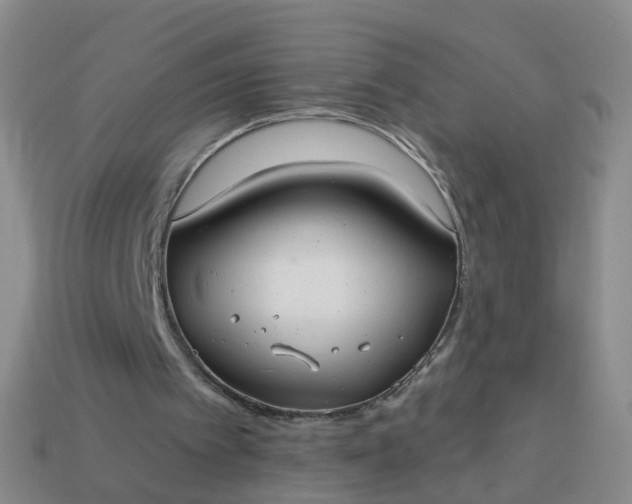 X0000113880097200910081755