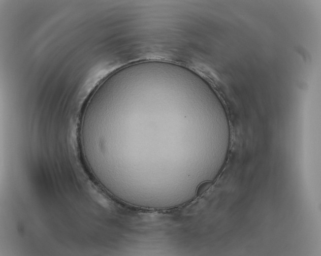 X0000113880098200910081755