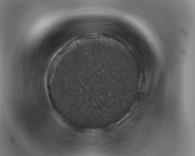 X0000113880099200910081755