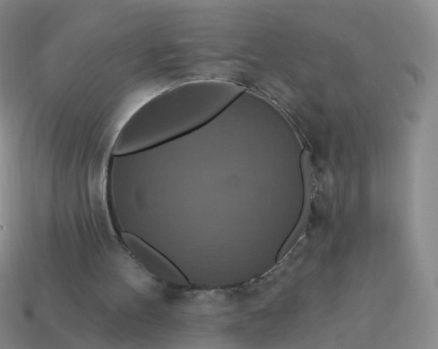 X0000113880100200910081755