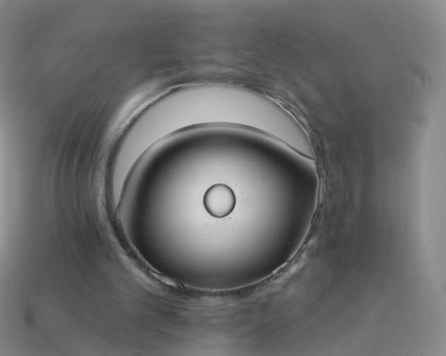 X0000113880101200910081755