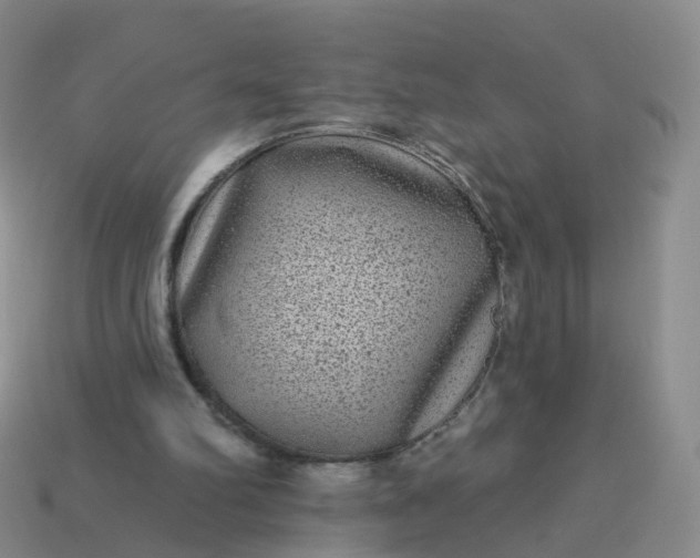 X0000113880102200910081755