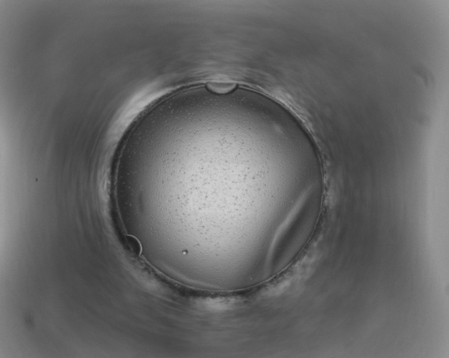 X0000113880103200910081755