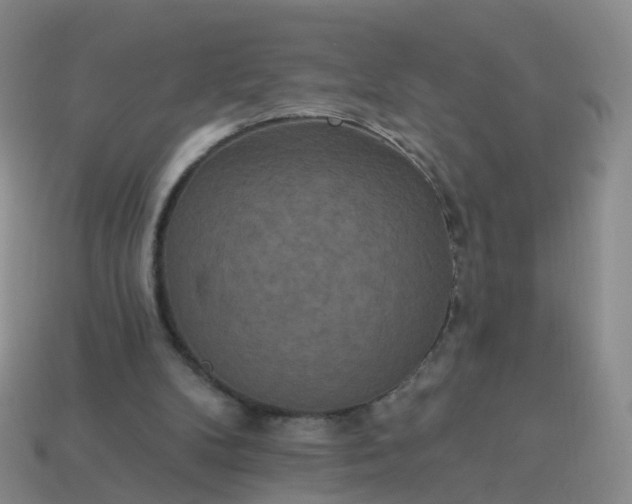 X0000113880104200910081755