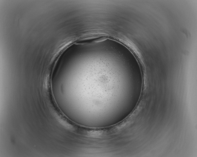 X0000113880105200910081755