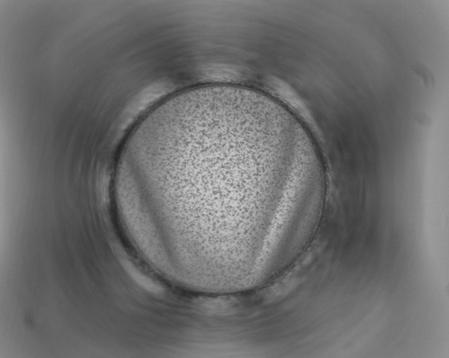 X0000113880106200910081755