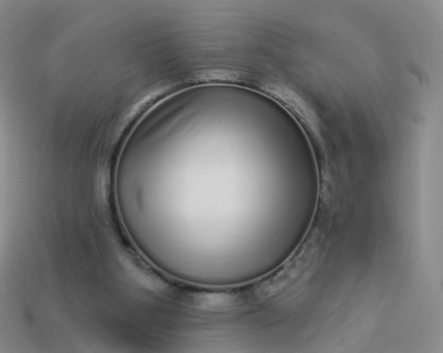 X0000113880107200910081755