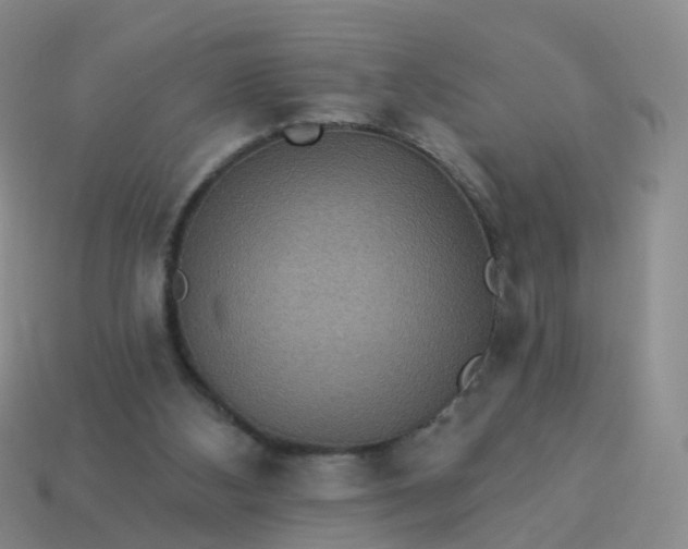 X0000113880108200910081755