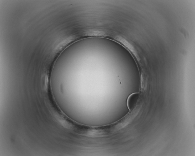 X0000113880109200910081755