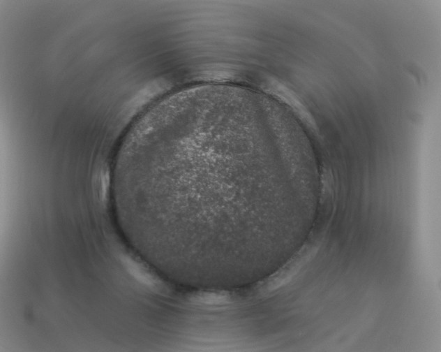 X0000113880110200910081755