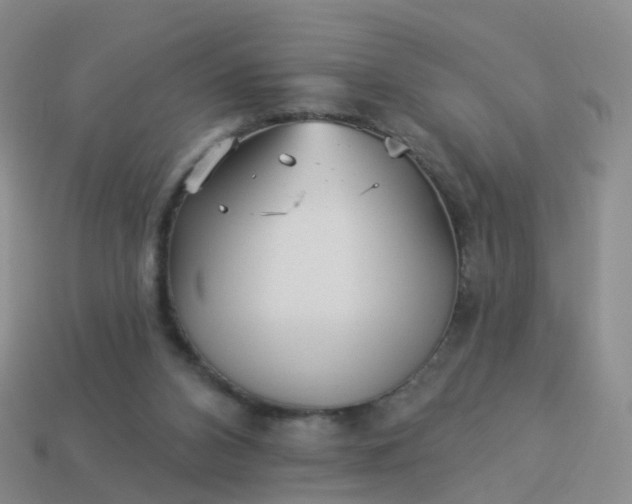 X0000113880112200910081755