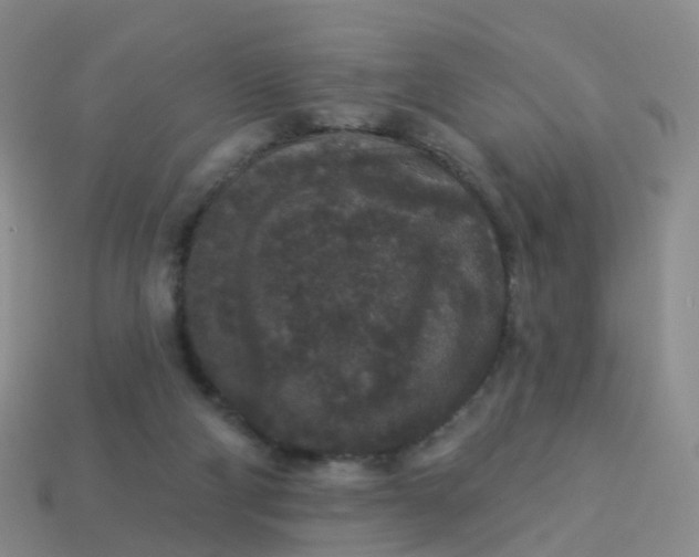 X0000113880114200910081755