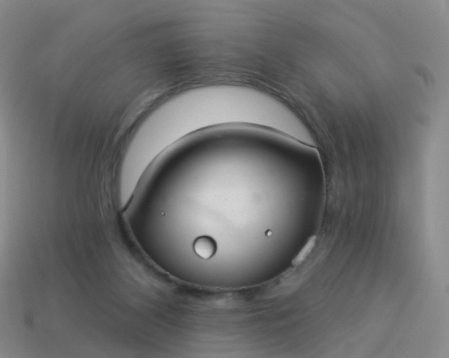 X0000113880116200910081755