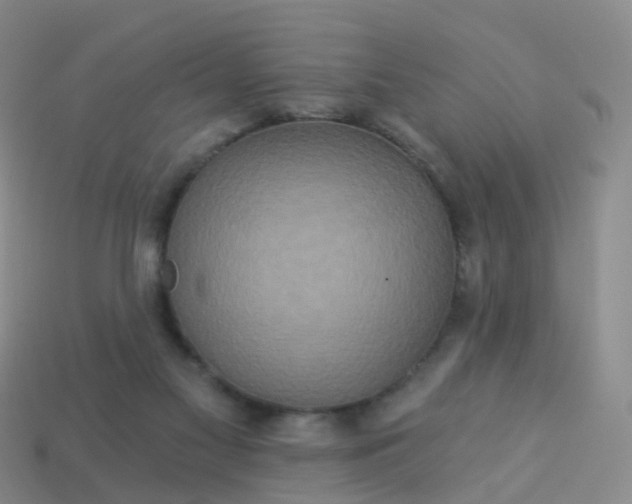 X0000113880117200910081755