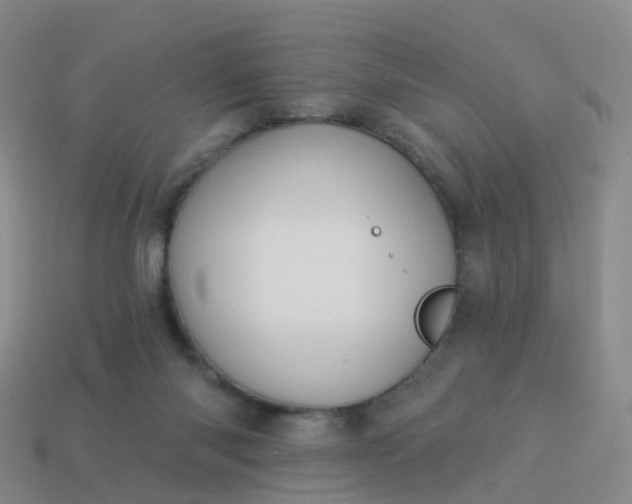 X0000113880118200910081755