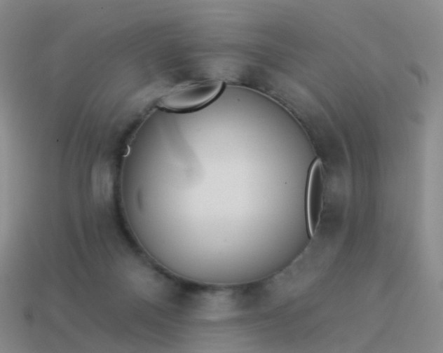 X0000113880120200910081755