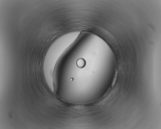 X0000113880121200910081755