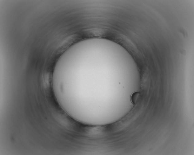 X0000113880122200910081755