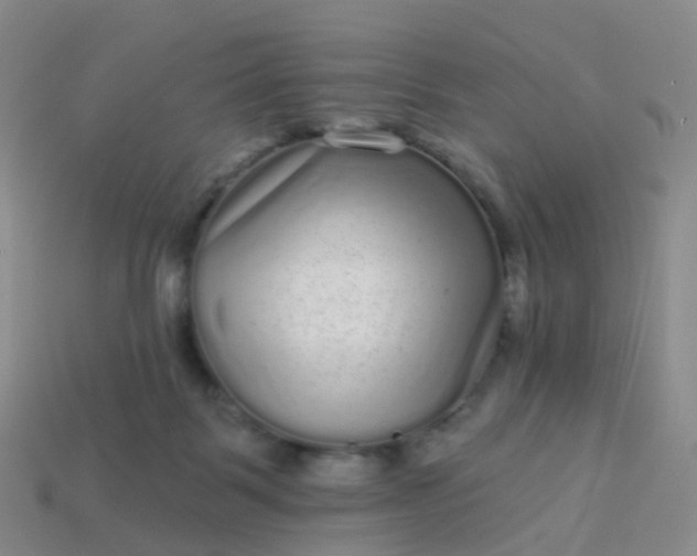 X0000113880123200910081755