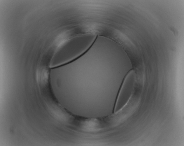 X0000113880124200910081755