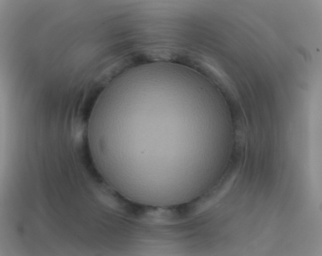 X0000113880125200910081755