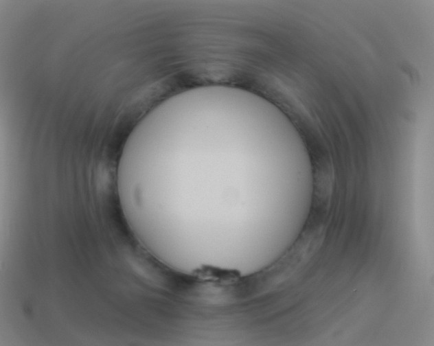 X0000113880126200910081755